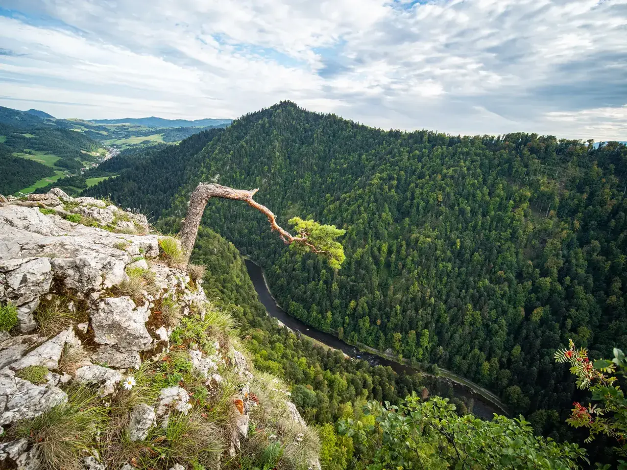 Widok z Sokolej Góry na Dunajec i Pieniny. Szlak z Krościenka oferuje zapierające dech w piersiach krajobrazy.
